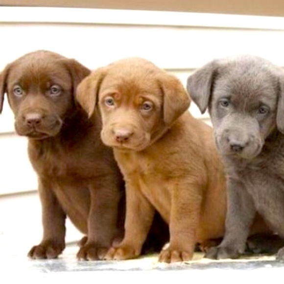 Bundle and Save! - Picture 2 of 10